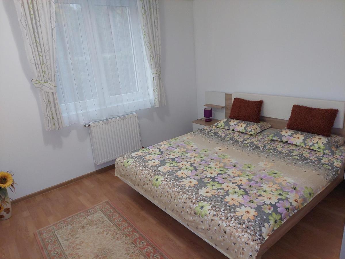 Cosy Apartment I Târgu-Mureş Exterior foto